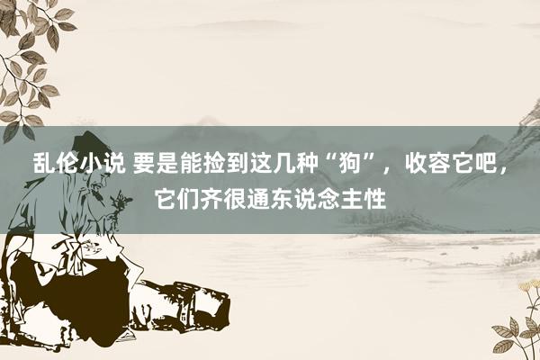 乱伦小说 要是能捡到这几种“狗”，收容它吧，它们齐很通东说念主性