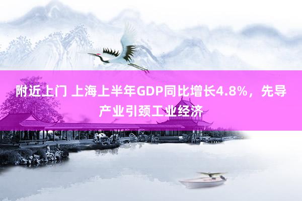 附近上门 上海上半年GDP同比增长4.8%，先导产业引颈工业经济