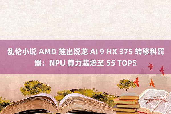 乱伦小说 AMD 推出锐龙 AI 9 HX 375 转移科罚器：NPU 算力栽培至 55 TOPS