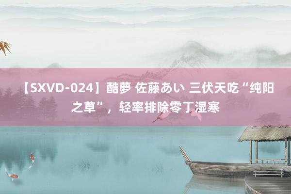 【SXVD-024】酷夢 佐藤あい 三伏天吃“纯阳之草”，轻率排除零丁湿寒