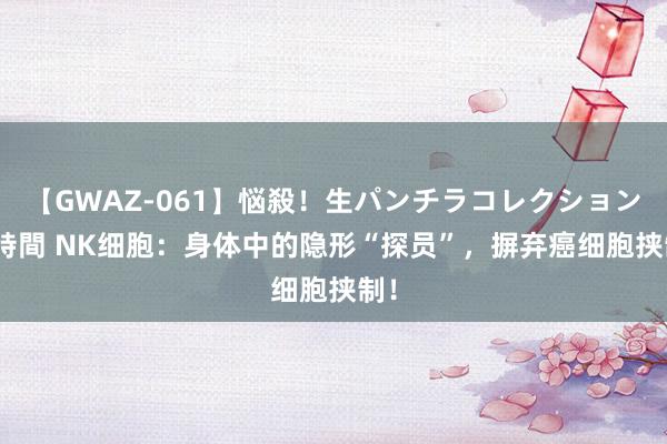 【GWAZ-061】悩殺！生パンチラコレクション 4時間 NK细胞：身体中的隐形“探员”，摒弃癌细胞挟制！