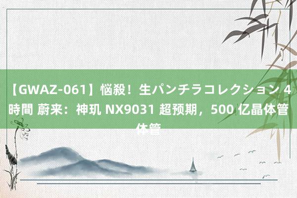 【GWAZ-061】悩殺！生パンチラコレクション 4時間 蔚来：神玑 NX9031 超预期，500 亿晶体管