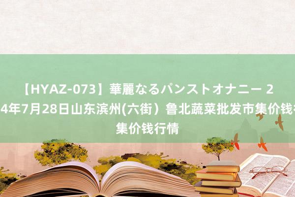 【HYAZ-073】華麗なるパンストオナニー 2 2024年7月28日山东滨州(六街）鲁北蔬菜批发市集价钱行情