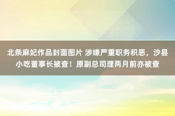 北条麻妃作品封面图片 涉嫌严重职务积恶，沙县小吃董事长被查！原副总司理两月前亦被查