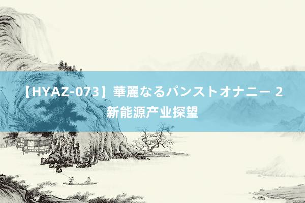 【HYAZ-073】華麗なるパンストオナニー 2 新能源产业探望