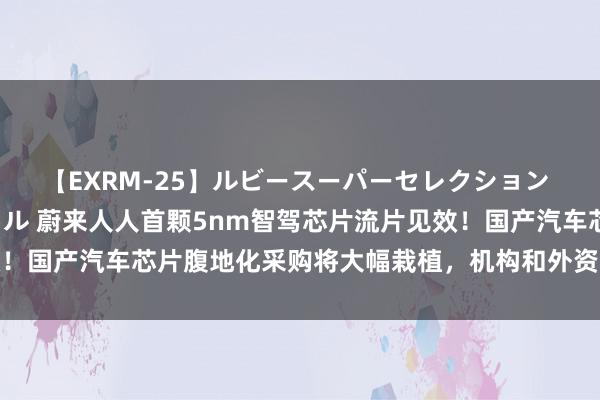 【EXRM-25】ルビースーパーセレクション 巨乳豊満4時間スペシャル 蔚来人人首颗5nm智驾芯片流片见效！国产汽车芯片腹地化采购将大幅栽植，机构和外资同期盯上这些股