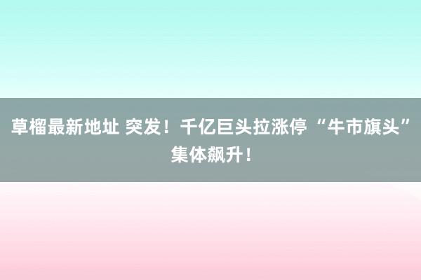 草榴最新地址 突发！千亿巨头拉涨停 “牛市旗头”集体飙升！