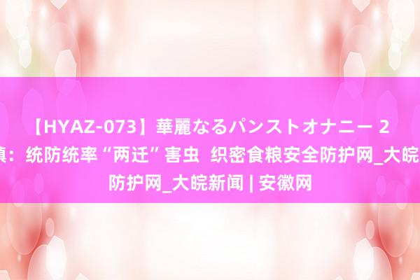 【HYAZ-073】華麗なるパンストオナニー 2 怀宁县金拱镇：统防统率“两迁”害虫  织密食粮安全防护网_大皖新闻 | 安徽网