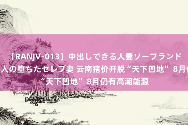 【RANJV-013】中出しできる人妻ソープランドDX 8時間 16人の堕ちたセレブ妻 云南猪价开脱“天下凹地” 8月仍有高潮能源