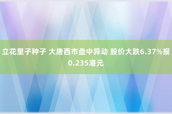 立花里子种子 大唐西市盘中异动 股价大跌6.37%报0.235港元