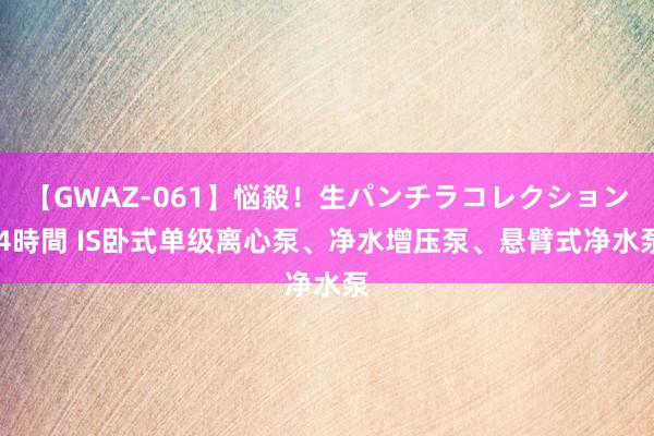 【GWAZ-061】悩殺！生パンチラコレクション 4時間 IS卧式单级离心泵、净水增压泵、悬臂式净水泵