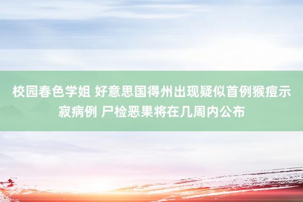 校园春色学姐 好意思国得州出现疑似首例猴痘示寂病例 尸检恶果将在几周内公布