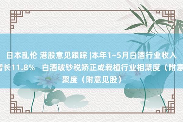 日本乱伦 港股意见跟踪 |本年1~5月白酒行业收入同比增长11.8%   白酒破钞税矫正或栽植行业相聚度（附意见股）