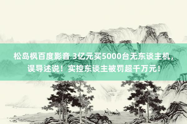 松岛枫百度影音 3亿元买5000台无东谈主机，误导述说！实控东谈主被罚超千万元！