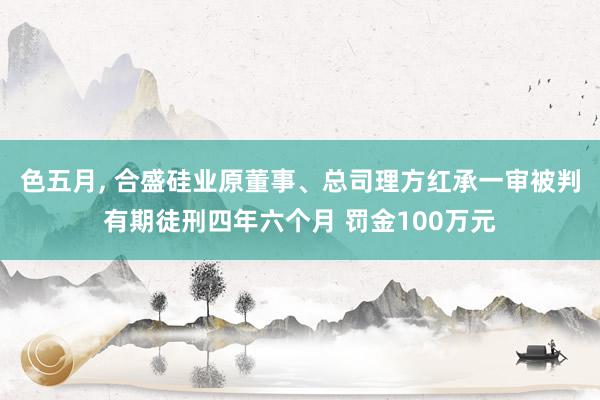 色五月, 合盛硅业原董事、总司理方红承一审被判有期徒刑四年六个月 罚金100万元