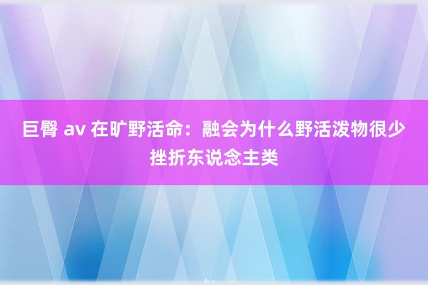 巨臀 av 在旷野活命：融会为什么野活泼物很少挫折东说念主类