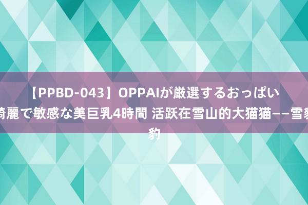 【PPBD-043】OPPAIが厳選するおっぱい 綺麗で敏感な美巨乳4時間 活跃在雪山的大猫猫——雪豹