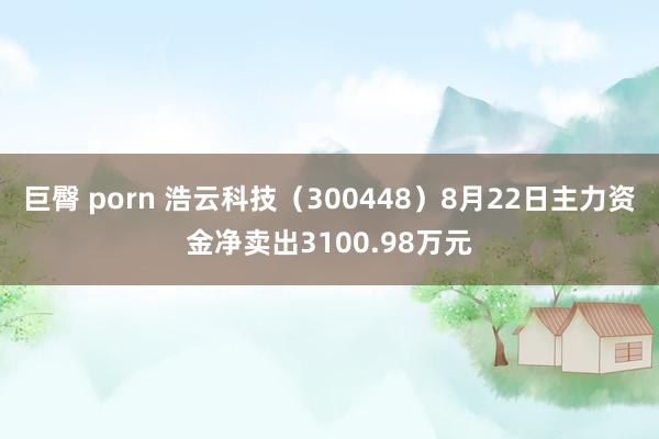 巨臀 porn 浩云科技（300448）8月22日主力资金净卖出3100.98万元