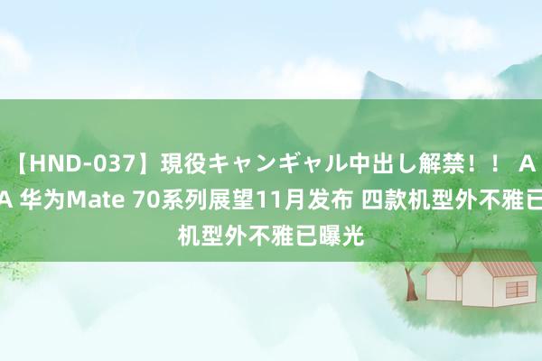 【HND-037】現役キャンギャル中出し解禁！！ ASUKA 华为Mate 70系列展望11月发布 四款机型外不雅已曝光